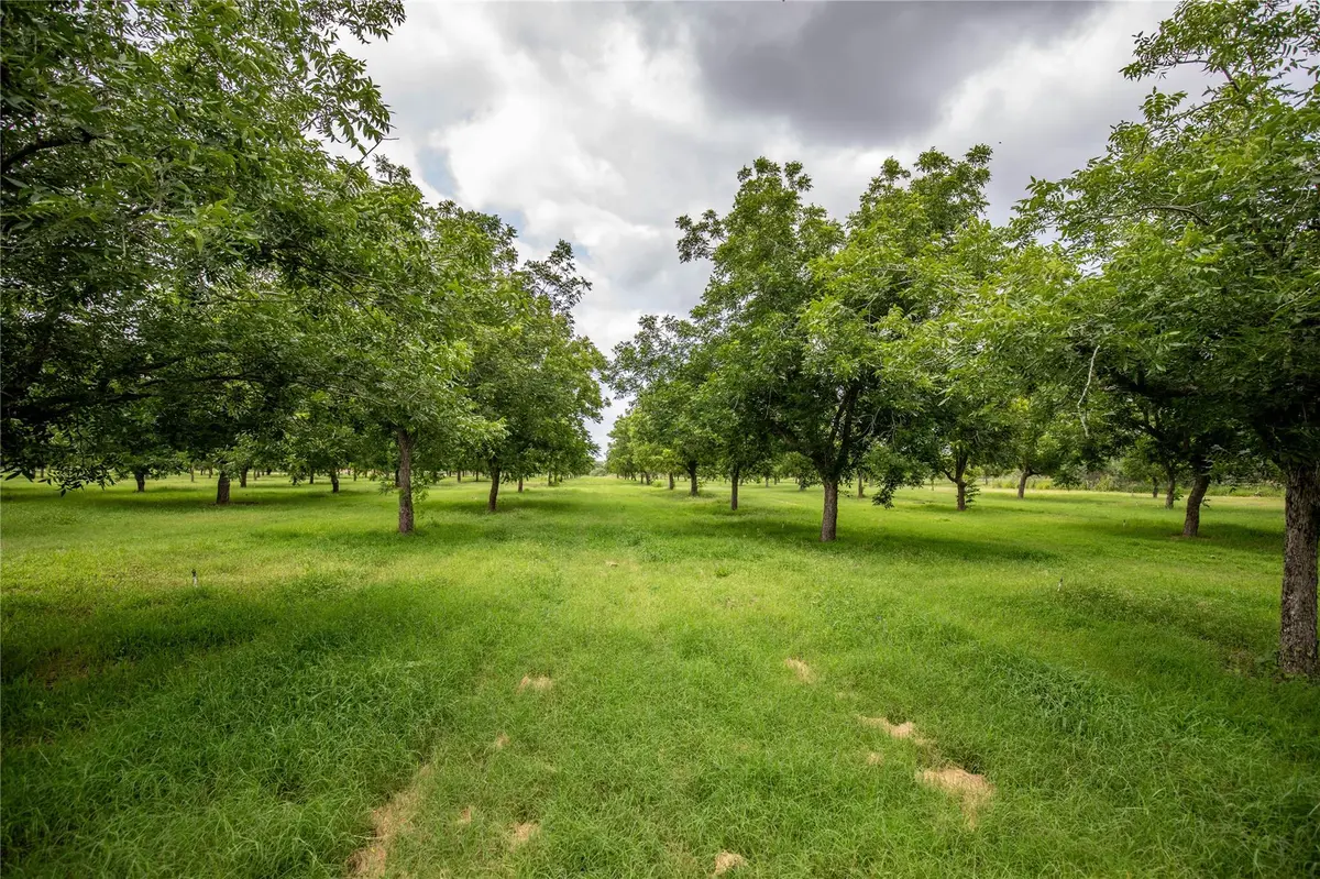 2432 County Road 402 B, Falfurrias, TX 78355