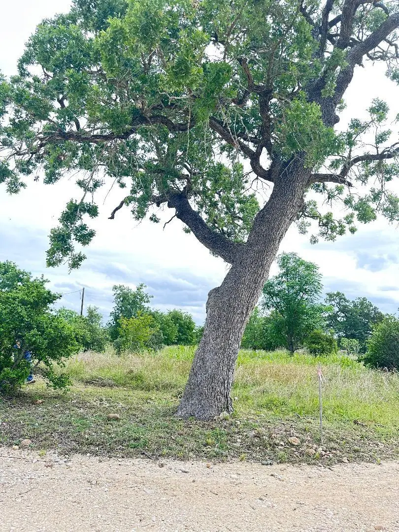 136 Wild Bird LOOP, Smithville, TX 78957