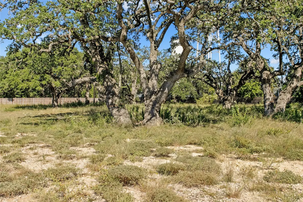 1410 Greenlawn PKWY, Blanco, TX 78606