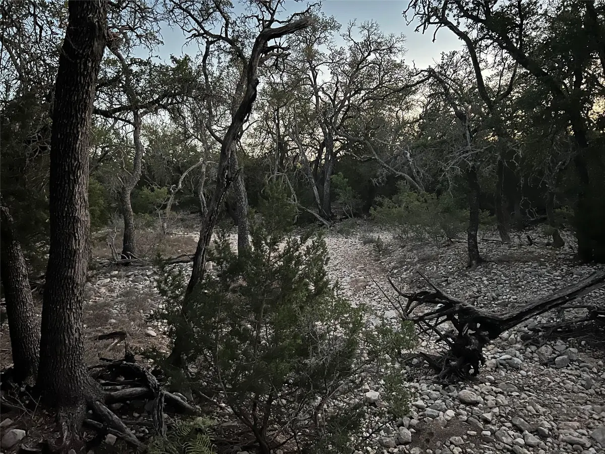 TBD County Road 450, Rocksprings, TX 78880