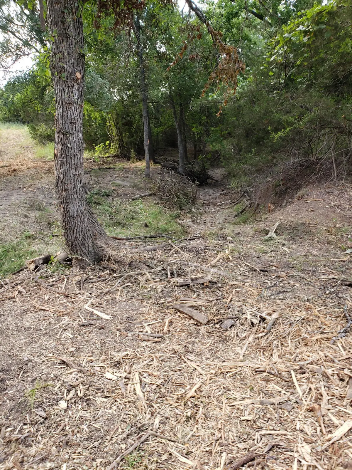 Lot 44 County Road 3640, Lampasas, TX 76522