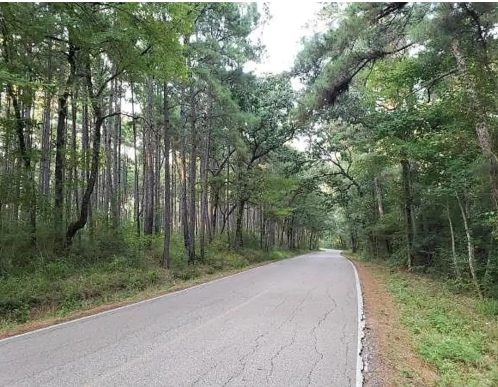 Address not disclosed, Montgomery, TX 77356