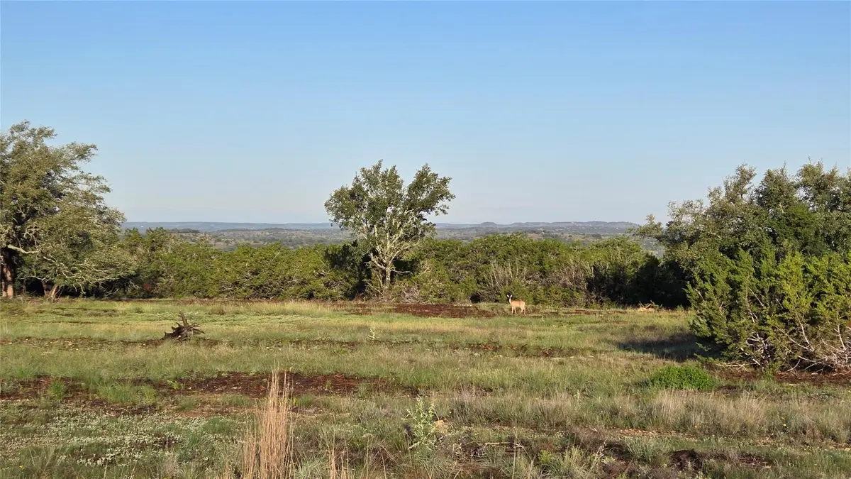 219 Canyon RD, Johnson City, TX 78636