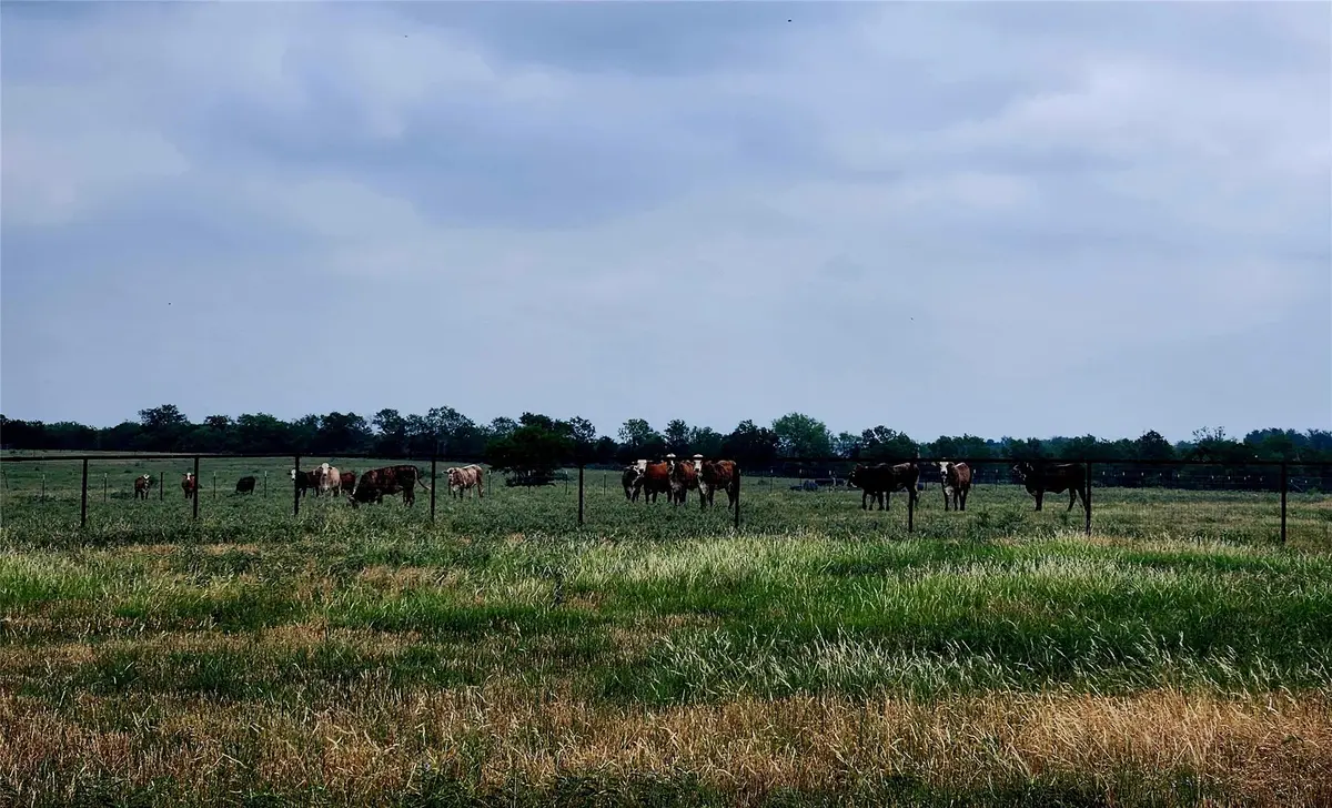 TBD County Road 446, Waelder, TX 78959