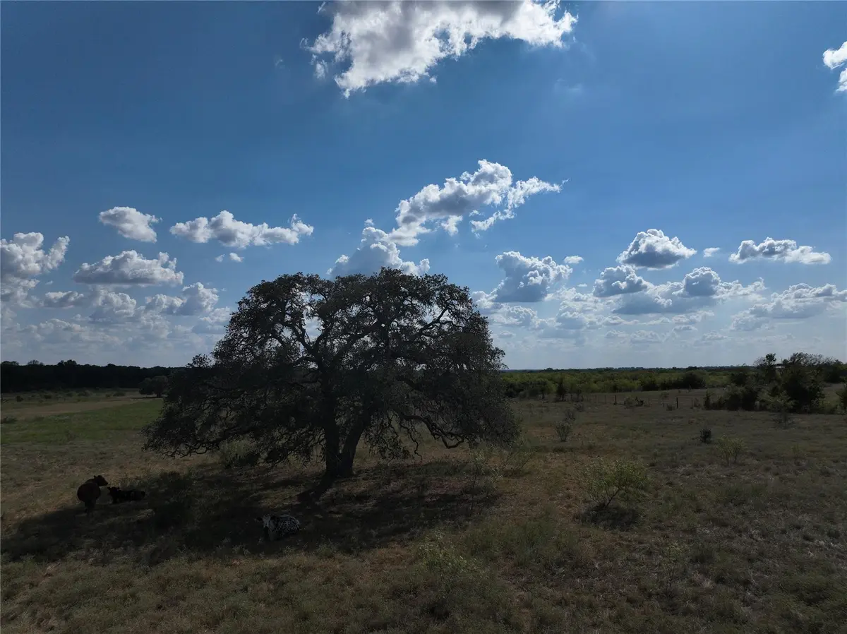 TBD Lot 5 Tenney Creek RD, Dale, TX 78616