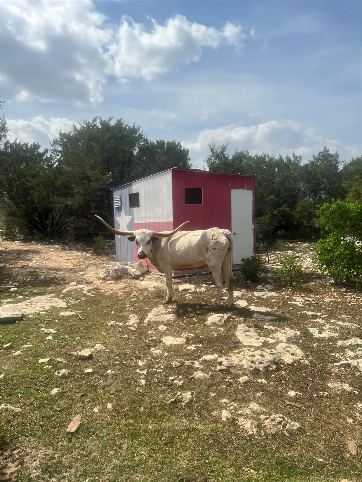 701 Grande ST #B, Driftwood, TX 78619