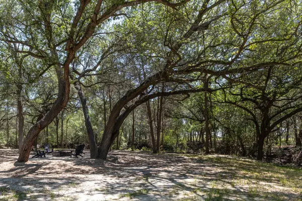 2088 (Tract #3) Baca LOOP, Flatonia, TX 78941