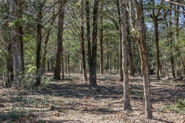 Lot 2 (4.81 Acres) Pauline LN, Caldwell, TX 77836