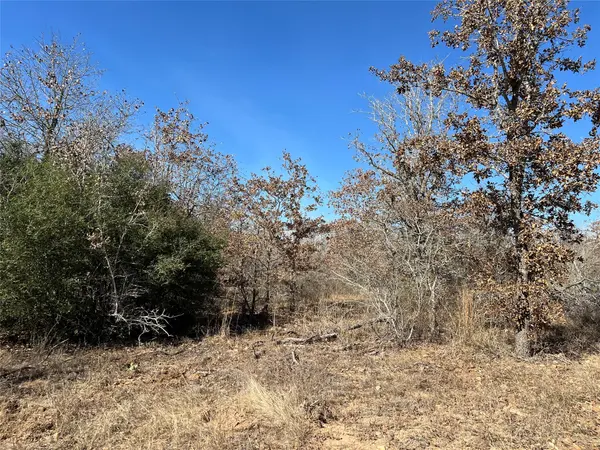 - S Hwy 183, Lockhart, TX 78640
