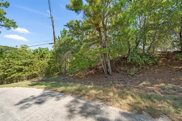 TBD 847 Mamalu DR, Bastrop, TX 78602