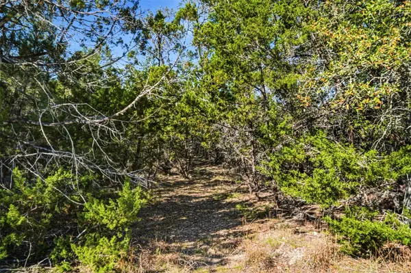 1038 Hidden Hills DR, Dripping Springs, TX 78620