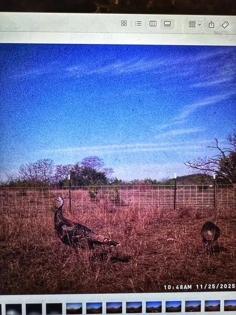 000 County Road 2699, Goldthwaite, TX 76853