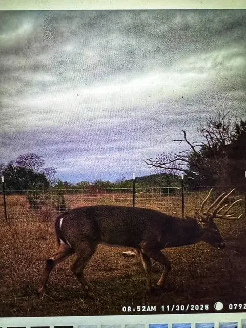 000 County Road 2699, Goldthwaite, TX 76853