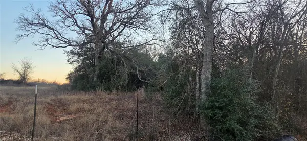 314 County Road Lot 8 TBD RD, Rockdale, TX 76567