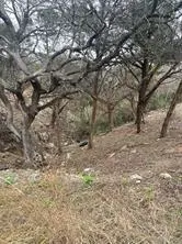 3705 High Line DR, Lago Vista, TX 78645