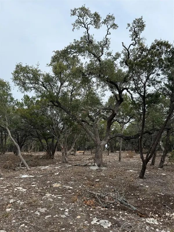 Tract 2 Pump Station RD, Wimberley, TX 78676