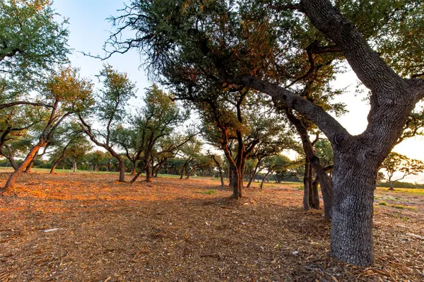 20091 Westlake PKWY #Lot #1, Georgetown, TX 78628