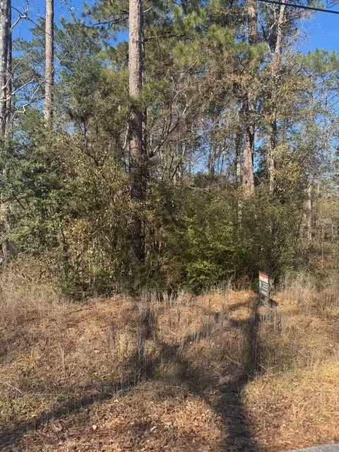 Address not disclosed, Montgomery, TX 77356