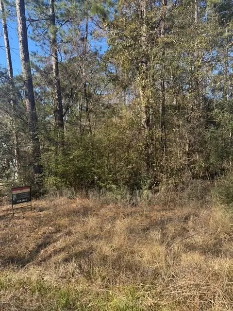 Address not disclosed, Montgomery, TX 77356