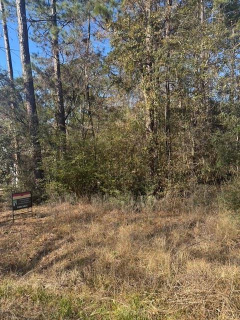 Address not disclosed, Montgomery, TX 77356