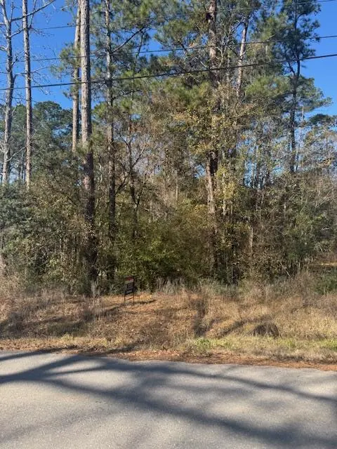 Address not disclosed, Montgomery, TX 77356