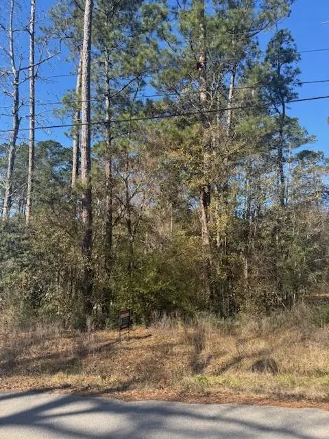 Address not disclosed, Montgomery, TX 77356