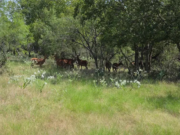1988 CR 116 RD, Rogers, TX 76569