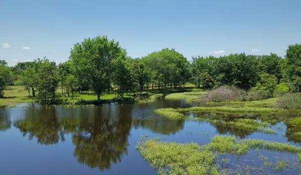 TBD County Road 132 (+/-74 acres), Caldwell, TX 77836