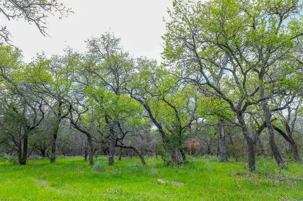 910 Abbey RD, Liberty Hill, TX 78642