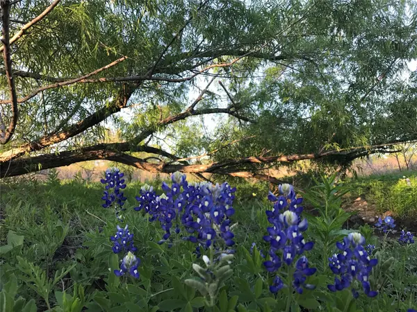 15501 Goforth RD, Buda, TX 78610