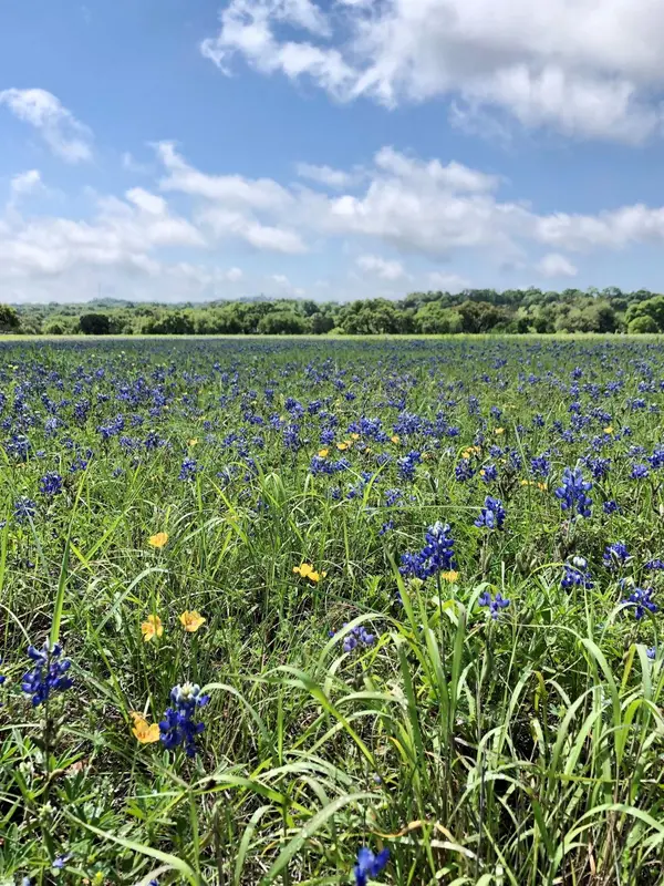 100 Dario DR, Dripping Springs, TX 78620