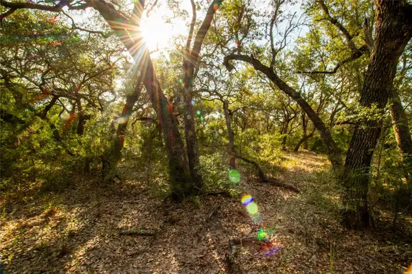 001 County Road 15, Hallettsville, TX 77964