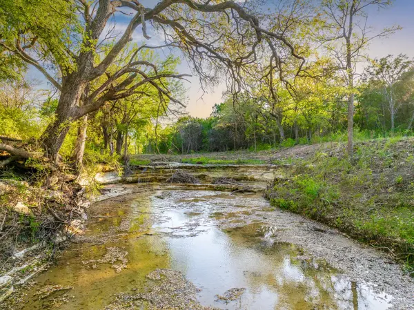 6234 S Fm 1174, Bertram, TX 78605