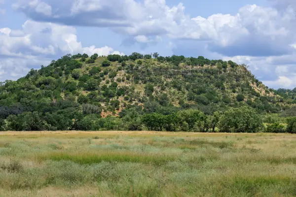0 Ranch Road 648, Doss, TX 78618