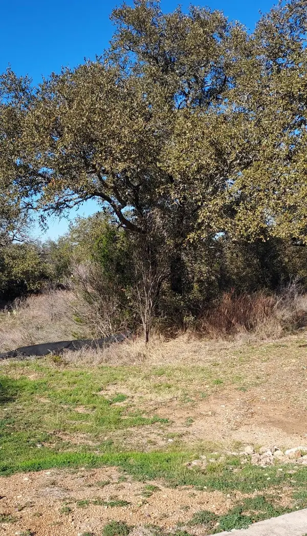 Lot 50 Pristine PASS, Buchanan Dam, TX 78609