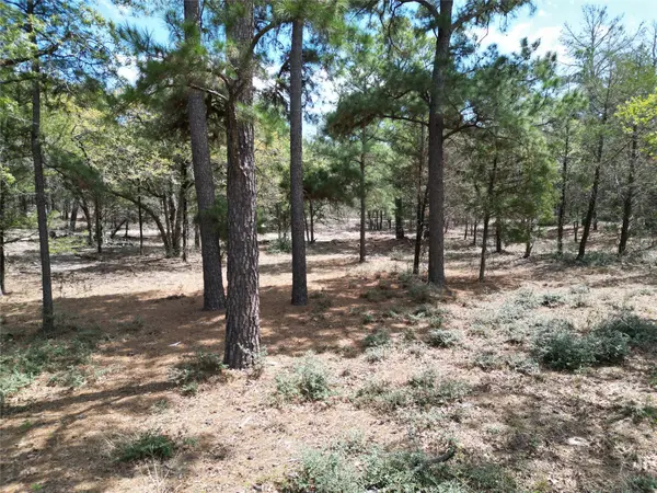 801 Marlin ST, Mcdade, TX 78650