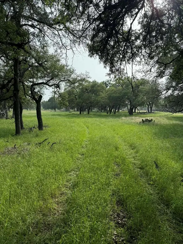 2251 County Road 234 LN, Georgetown, TX 78633