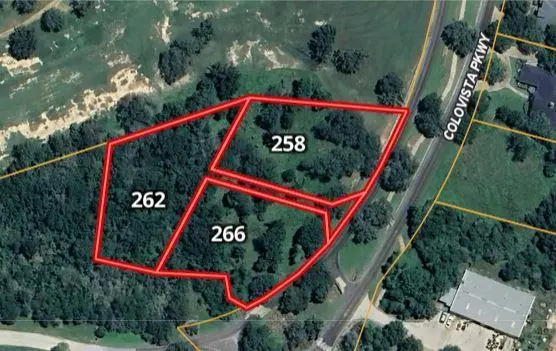 266 Colovista PKWY, Bastrop, TX 78602