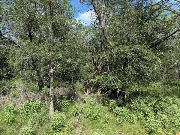 236 Mokulua LN, Bastrop, TX 78602