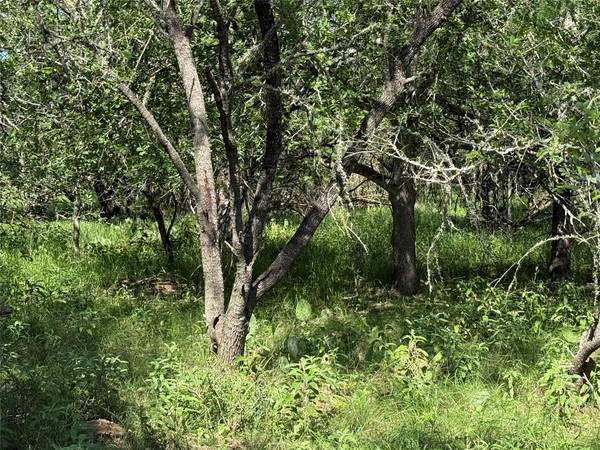 236 Mokulua LN, Bastrop, TX 78602