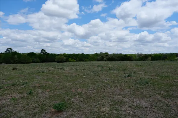 446 Herron TRL, Mcdade, TX 78650