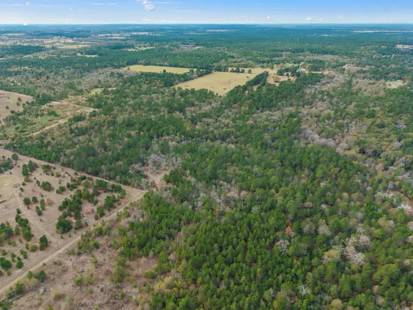 000 Dickey LOOP, Huntsville, TX 77831