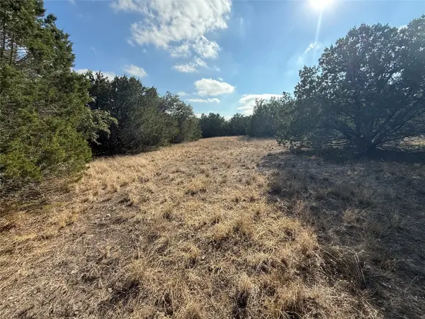 Address not disclosed, Cypress Mill, TX 78663