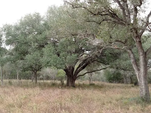 251 Lefty Lane LN, Goliad, TX 77963