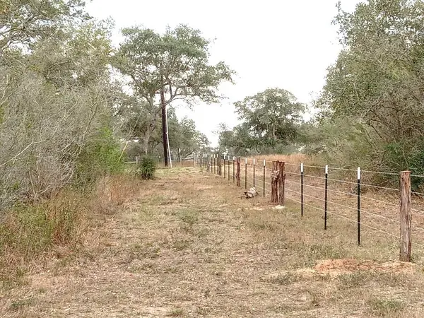 251 Lefty Lane LN, Goliad, TX 77963