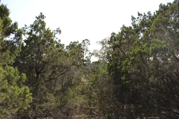 251 Serenity, Fischer, TX 78623