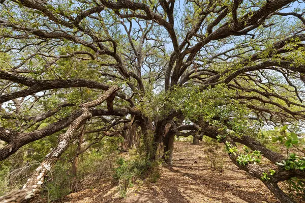 TBD County Road 207, Burnet, TX 78611