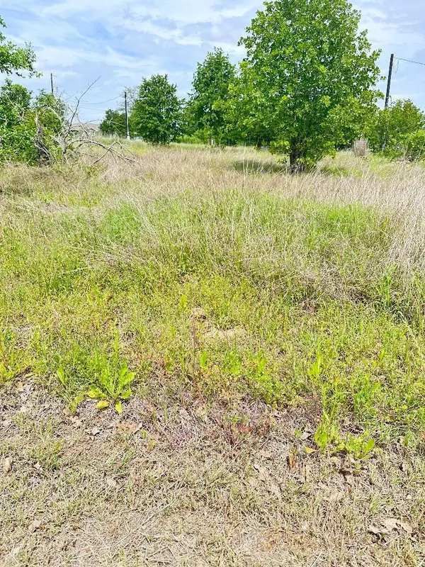 126 Wild Bird LOOP, Smithville, TX 78957