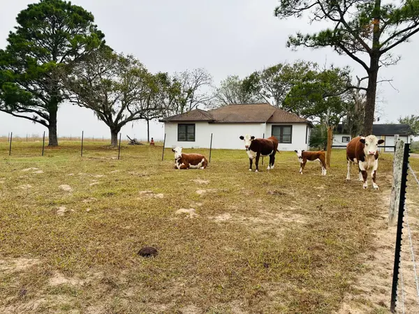 1696 E Fm 884, Yorktown, TX 78164