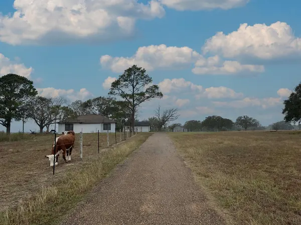 1696 E Fm 884, Yorktown, TX 78164